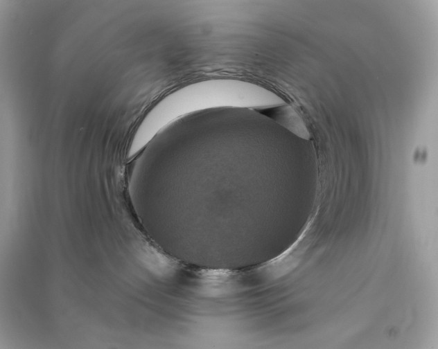 X0000090770192200708101818