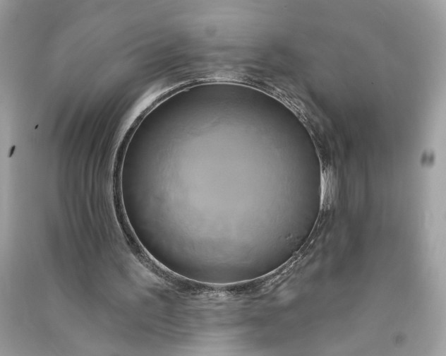 X0000090770195200708101817