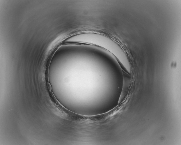 X0000090770197200708101817