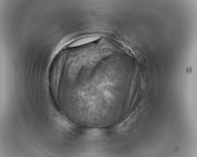 X0000090770198200708101817