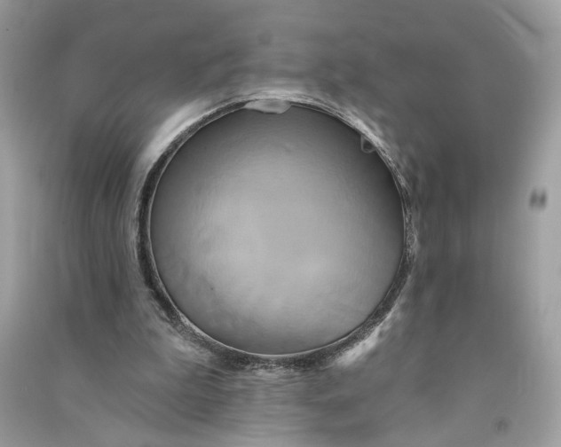 X0000090770199200708101817