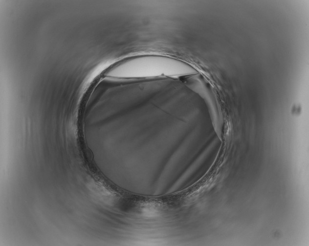 X0000090770200200708101817