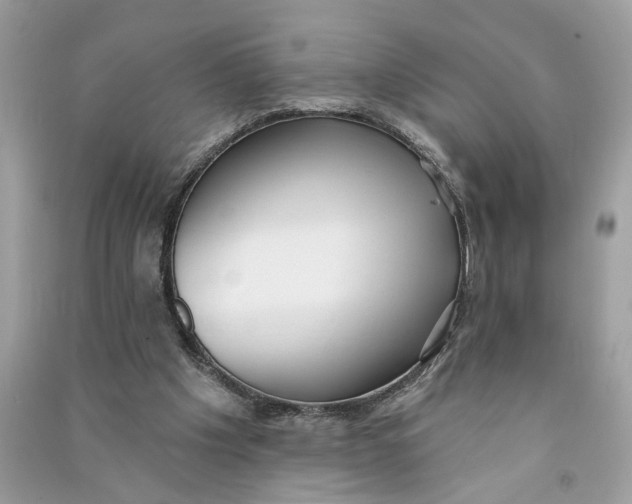 X0000090770201200708101817
