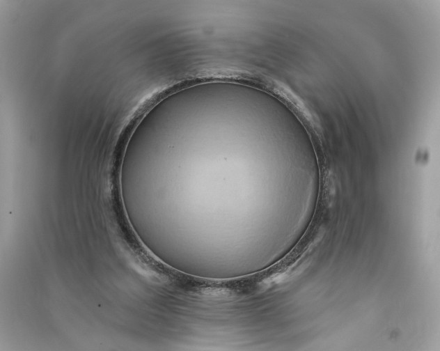 X0000090770203200708101817