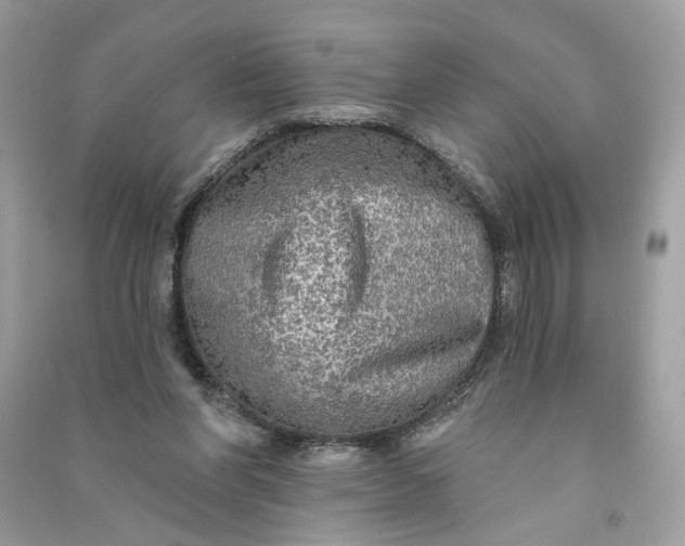 X0000090770206200708101817