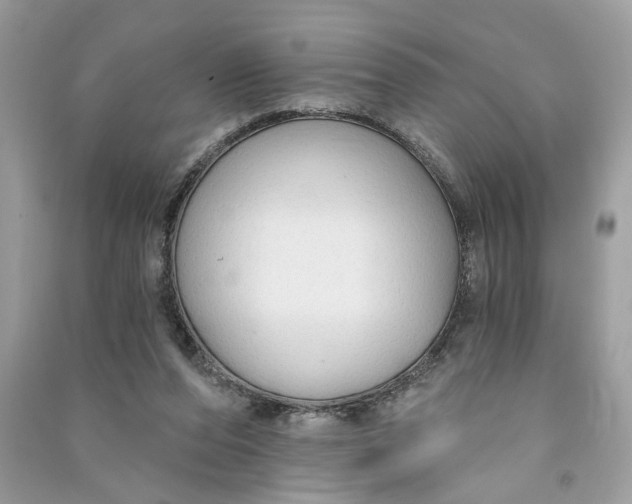 X0000090770208200708101817