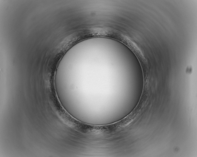 X0000090770209200708101817