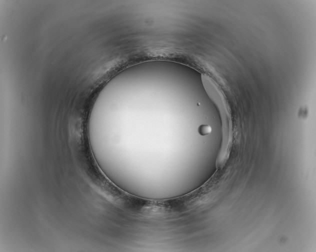 X0000090770211200708101817