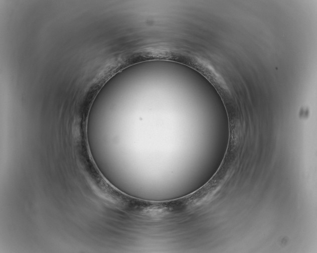 X0000090770213200708101817