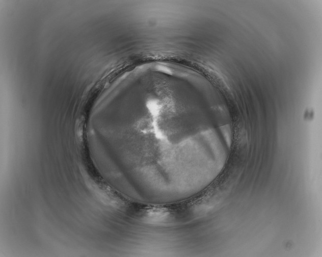X0000090770214200708101817