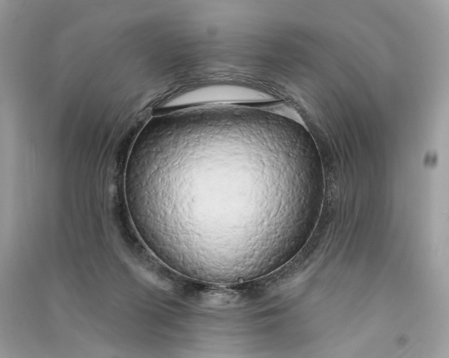 X0000090770215200708101817