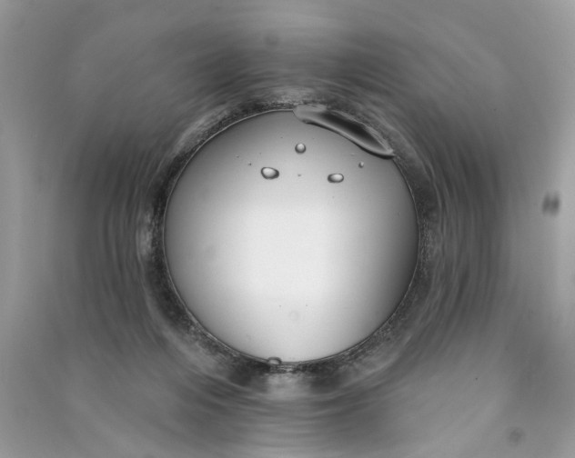X0000090770216200708101817