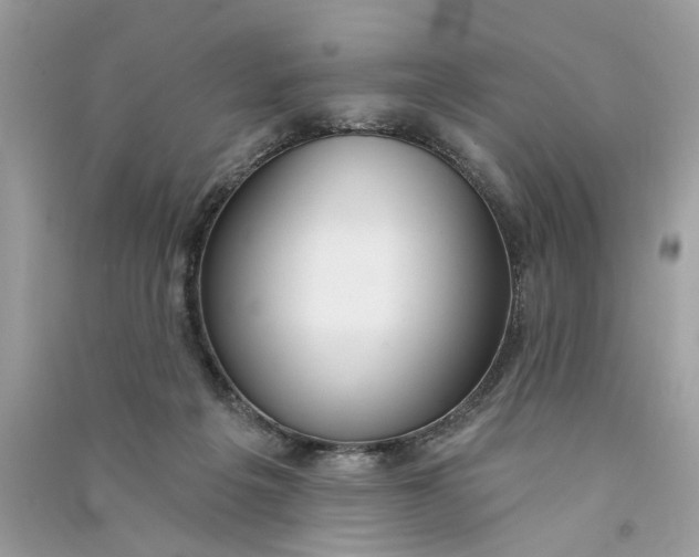 X0000090770217200708101817
