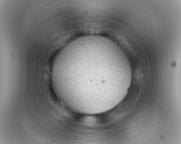 X0000090770218200708101817
