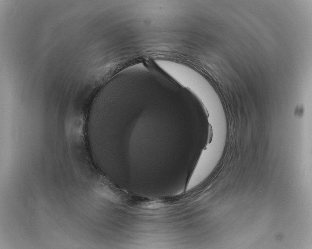 X0000090770219200708101817