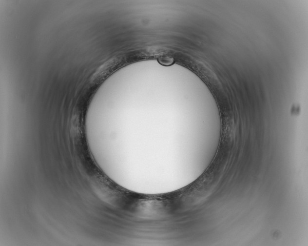 X0000090770220200708101817