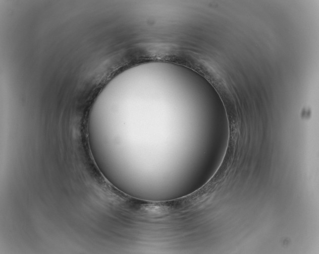 X0000090770221200708101817