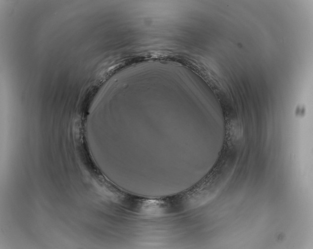 X0000090770222200708101817