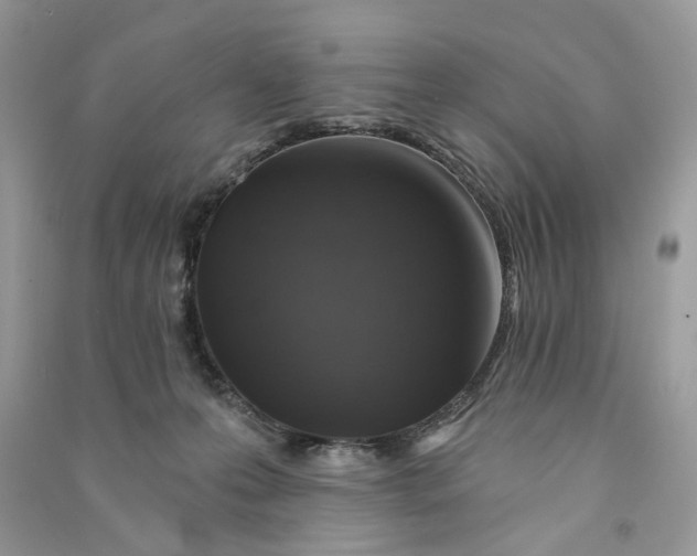 X0000090770223200708101817