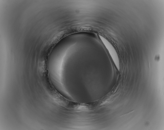 X0000090770224200708101817