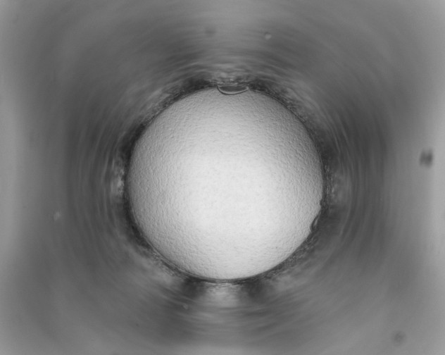 X0000090770226200708101817