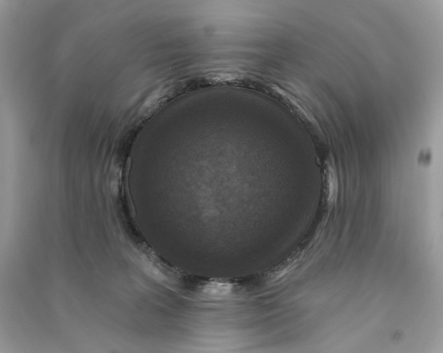 X0000090770227200708101817