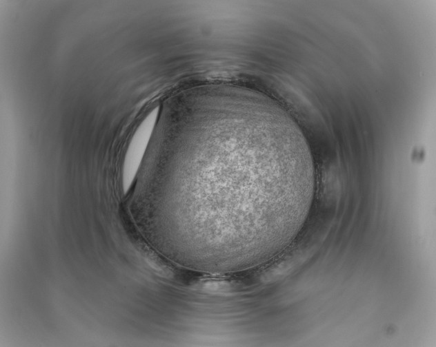X0000090770228200708101817