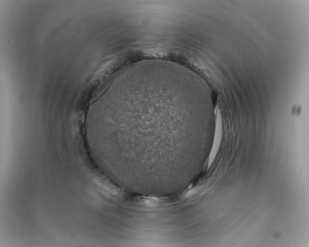 X0000090770229200708101817