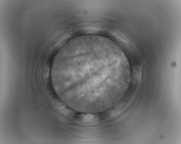 X0000090770230200708101817