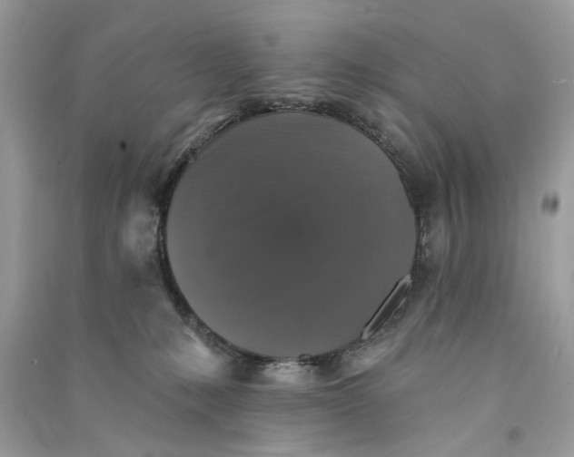 X0000090770231200708101817