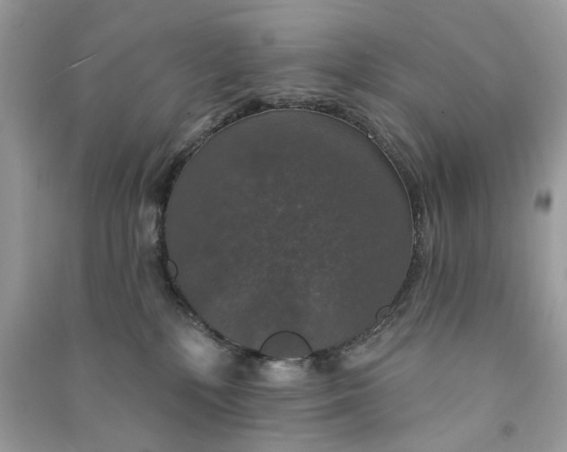 X0000090770232200708101817