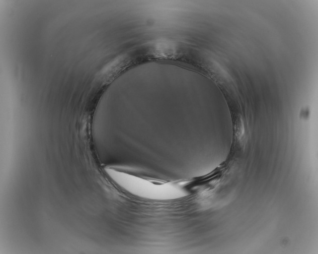 X0000090770233200708101817