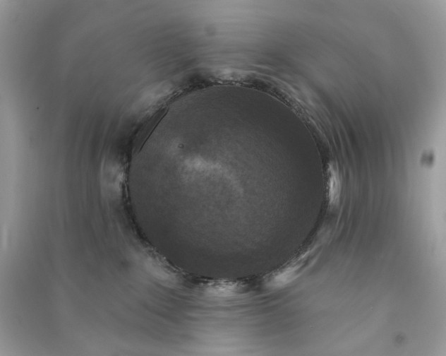 X0000090770235200708101817