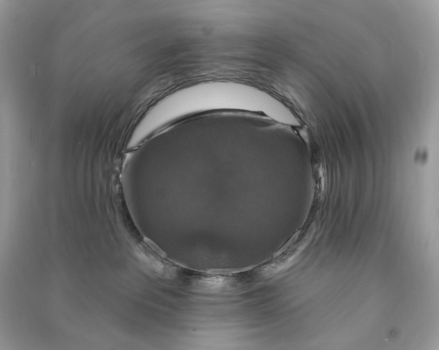 X0000090770237200708101817