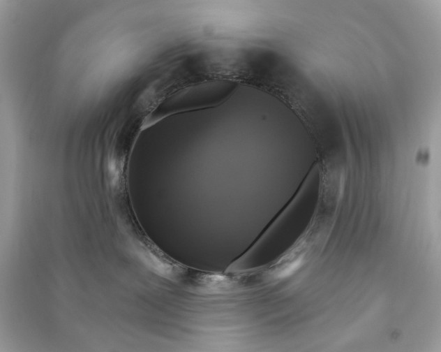 X0000090770239200708101817