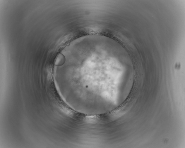 X0000090770240200708101817