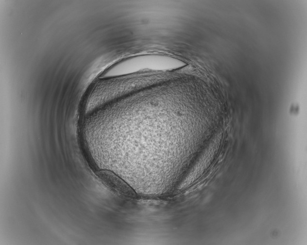 X0000090770242200708101816