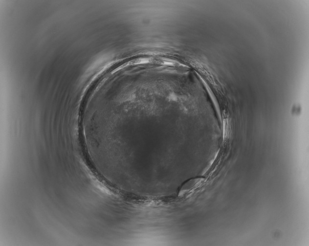 X0000090770243200708101816