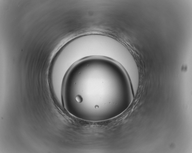X0000090770244200708101816