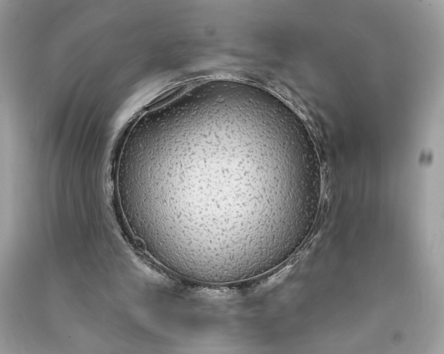 X0000090770245200708101816