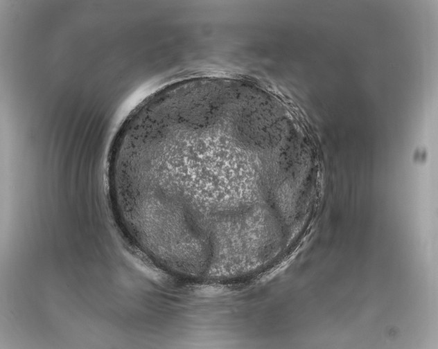 X0000090770246200708101816