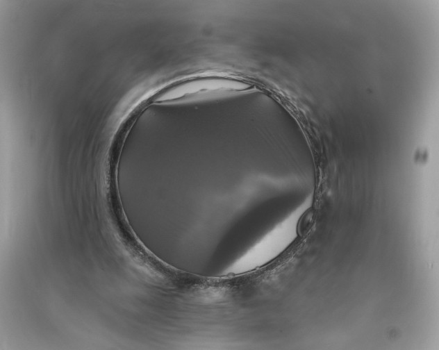 X0000090770247200708101816