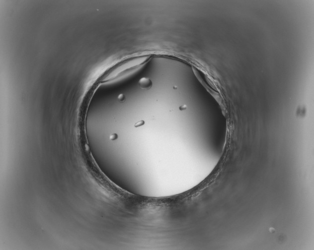 X0000090770248200708101816