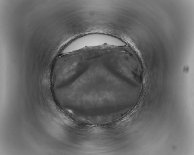 X0000090770249200708101816