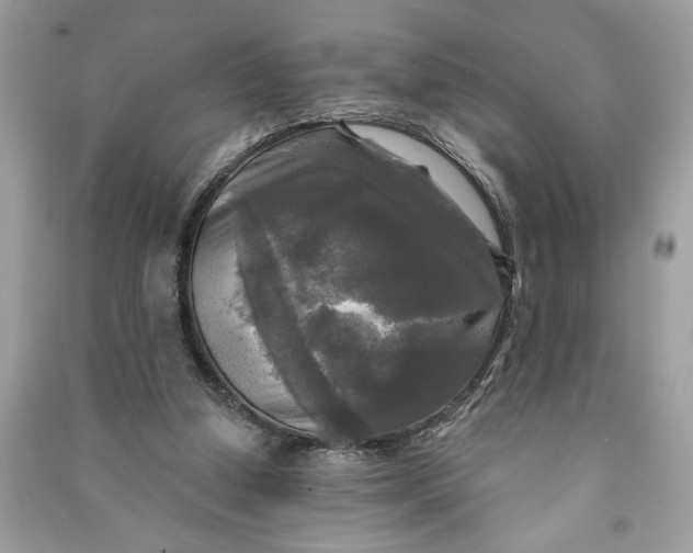 X0000090770250200708101816