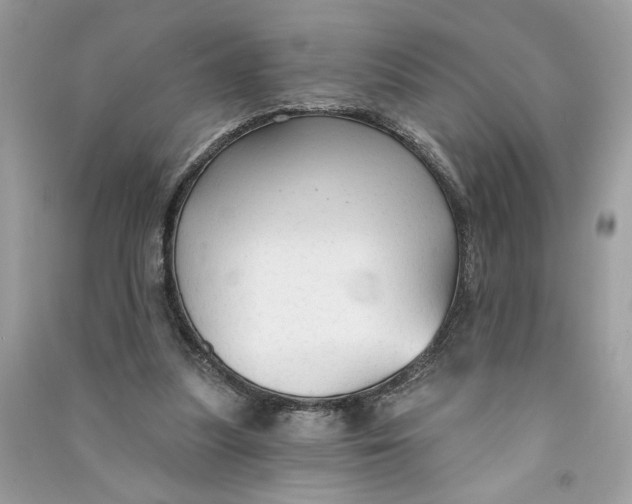 X0000090770251200708101816