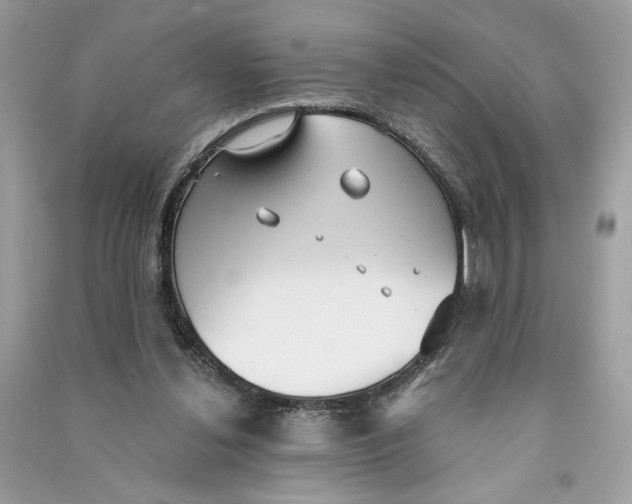 X0000090770252200708101816