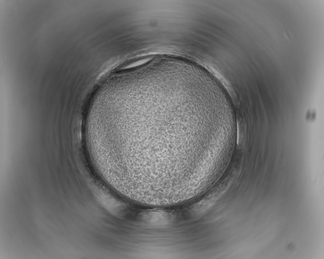 X0000090770253200708101816