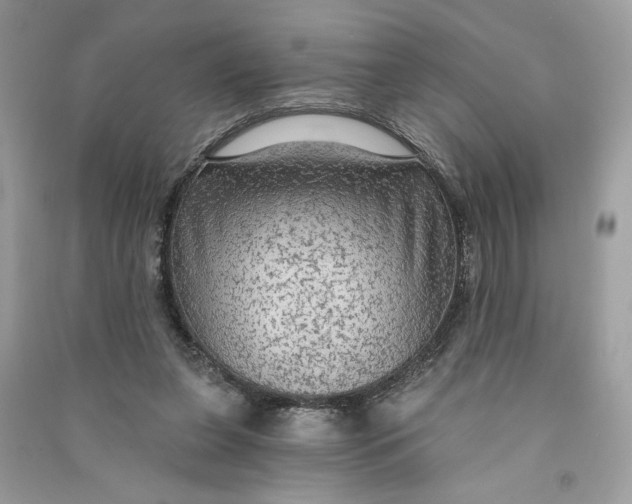 X0000090770255200708101816