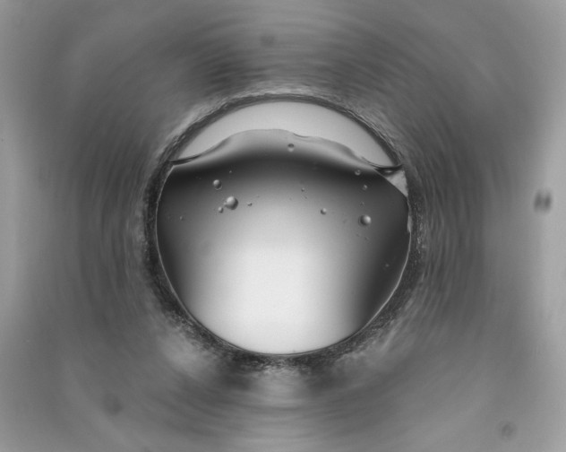 X0000090770256200708101816